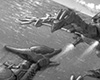Storch vs Raynos